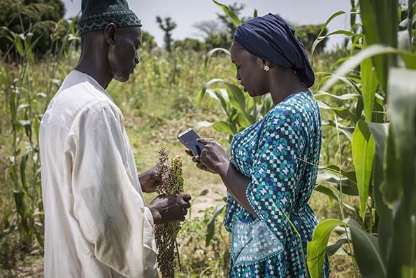 Ndeye Amy Kebe - A decifradora de TIC que espalha as melhoras práticas pelos campos agrícolas
