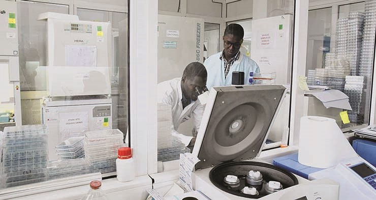 Fundo apoia pequenos projectos em Angola