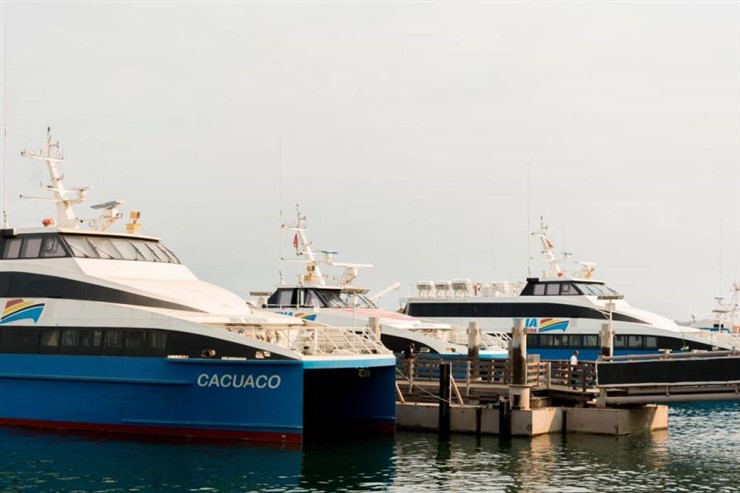 Secil Marítima e Unicargas na lista para privatizar em 2021
