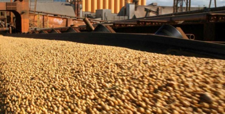 Angola arrisca sanções da OMC ao impor restrições para dinamizar importação a granel