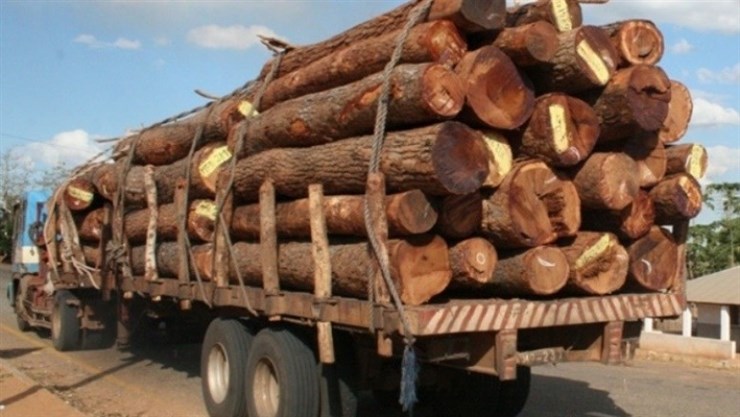 Exportação dos produtos da diversificação quase que duplicou para 283 milhões USD