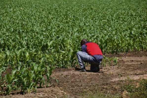 Agrónomos, operadores de máquinas e técnicos de saúde estão entre as profissões mais procuradas em Angola até 2024